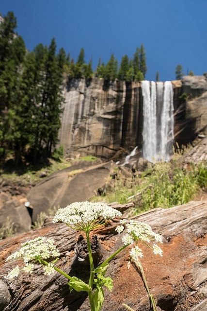 14649410356_b9786bee89_z