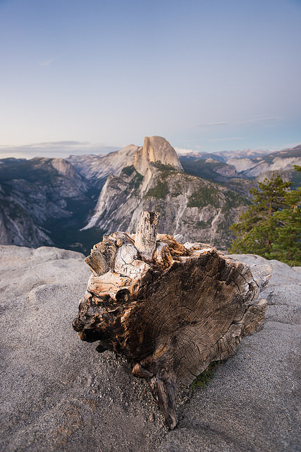 14674987101_8044c14e8a_z