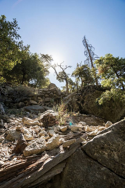 14681267724_b59acf5cc8_z